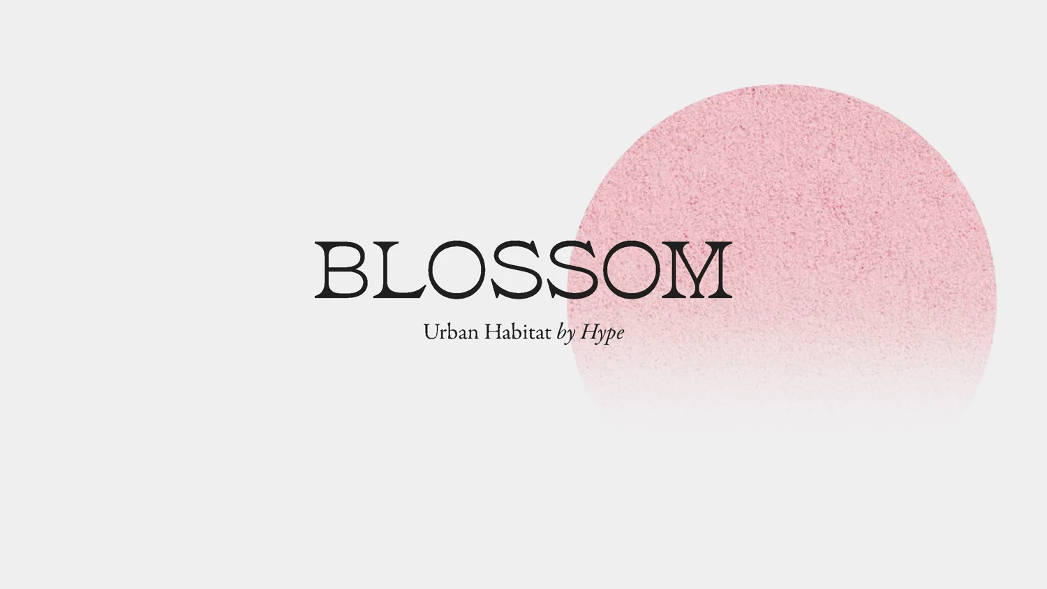 Capa da apresentação de Blossom