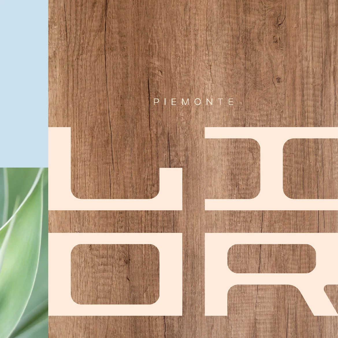 Capa da apresentação de Piemonte Lior